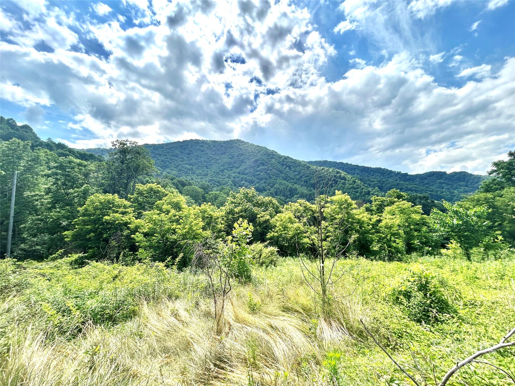 Split Pine Estates - Land