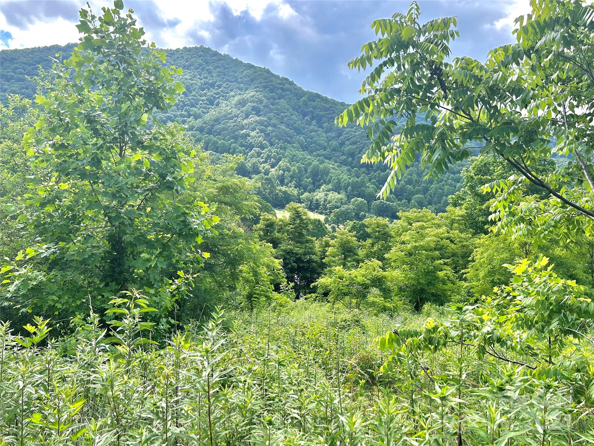 Split Pine Estates - Land