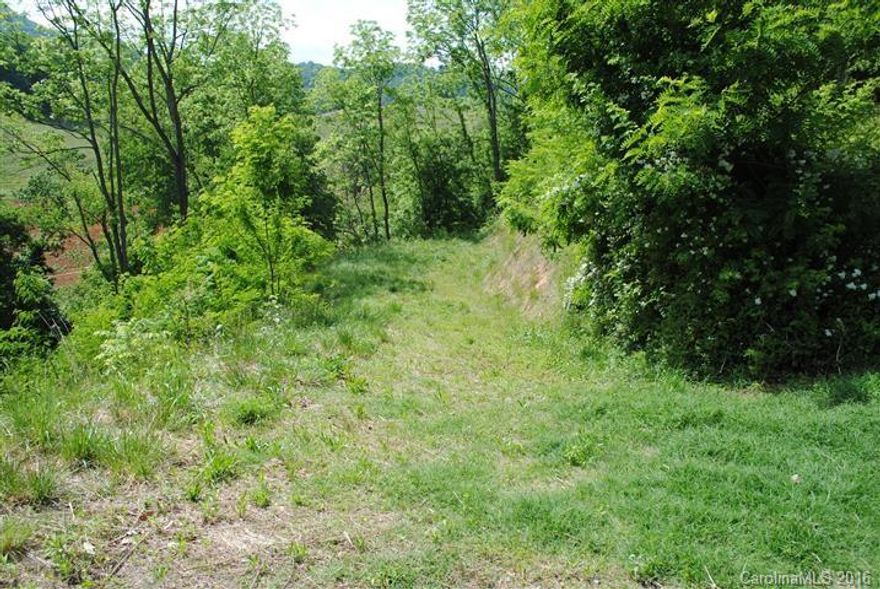 Creek front Lot in deed restricted community close to the town of Clyde. Enjoy the views of Richland Creek from your back yard & surrounding views. The parcel has a drive & rough house pad in place. House pad is elevated above the creek so outside of any flood plain (lower section of parcel within the flood plain). Great access to hospital, schools, I-40, & easy year around access. City water/sewer available. Property is being sold as is, where is.
