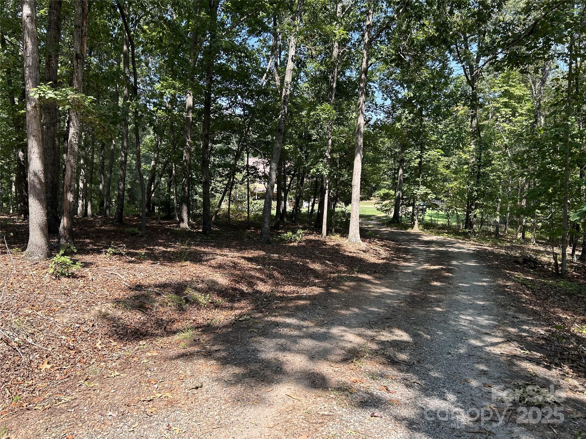 207 Wagon Lane