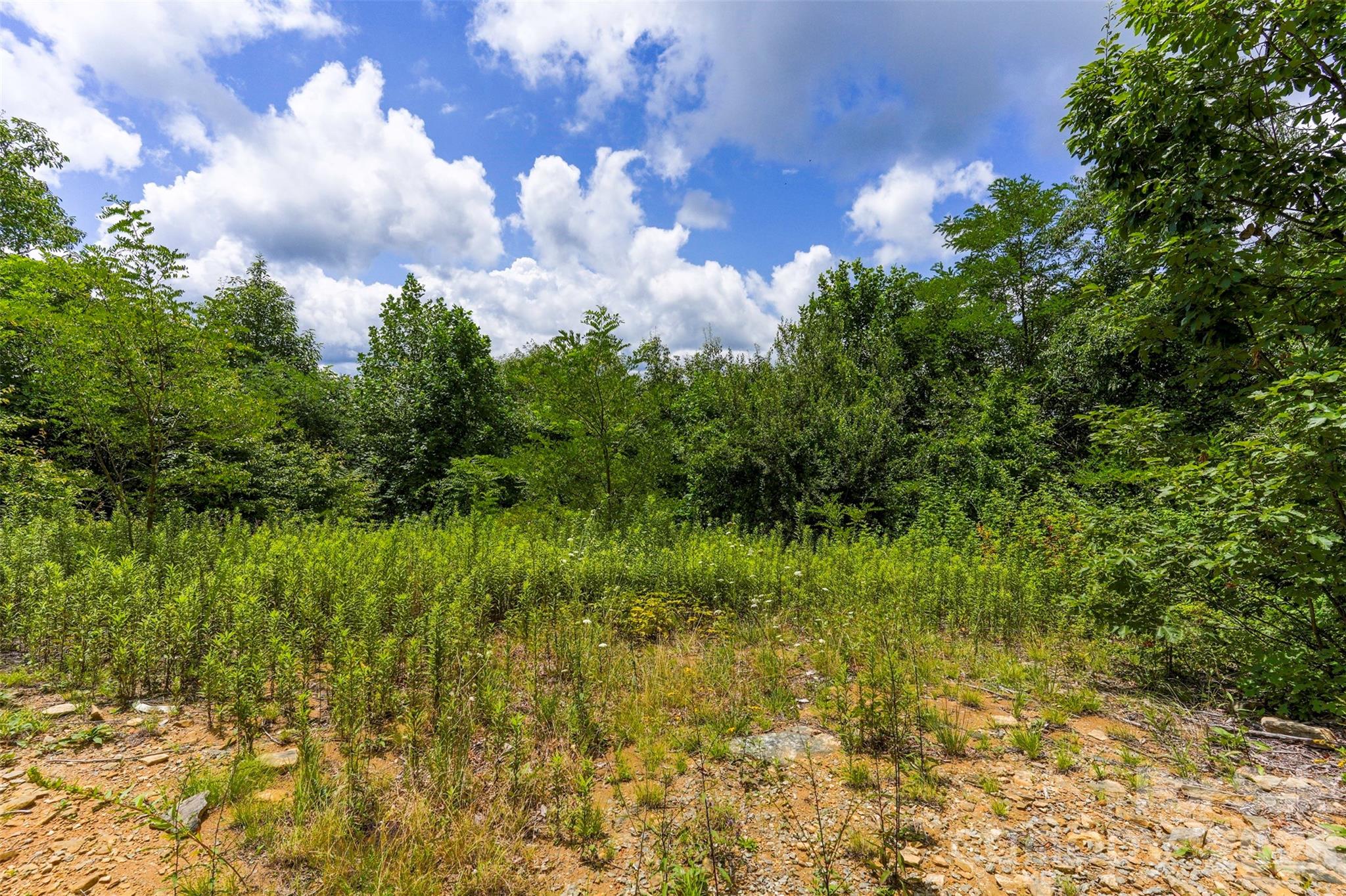 705 Pine Ridge Road 59