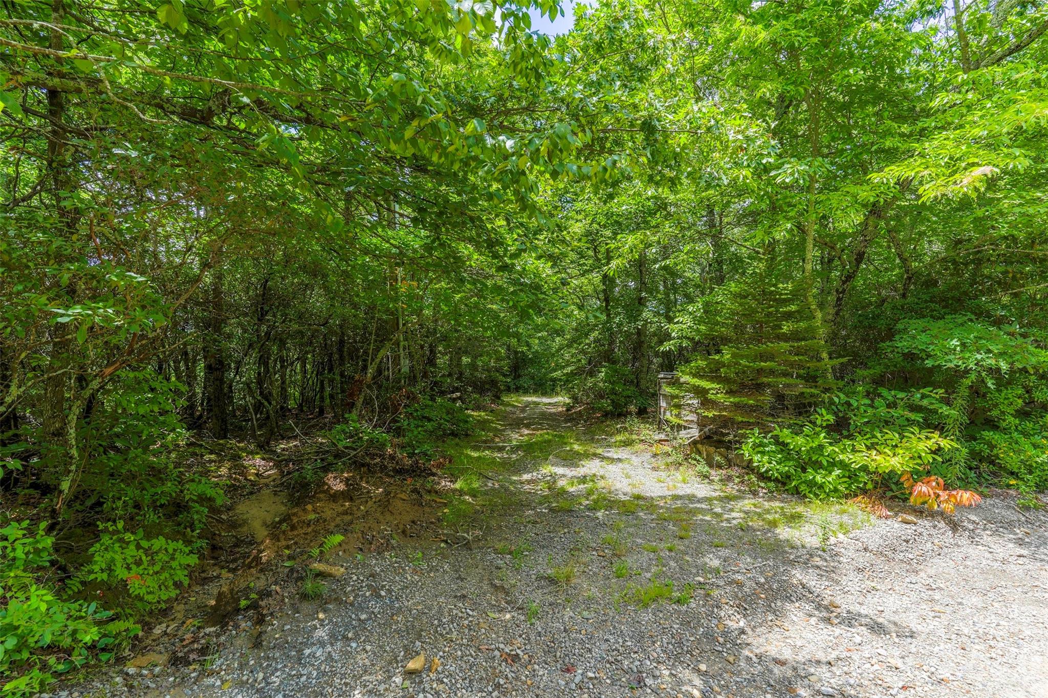 705 Pine Ridge Road 59