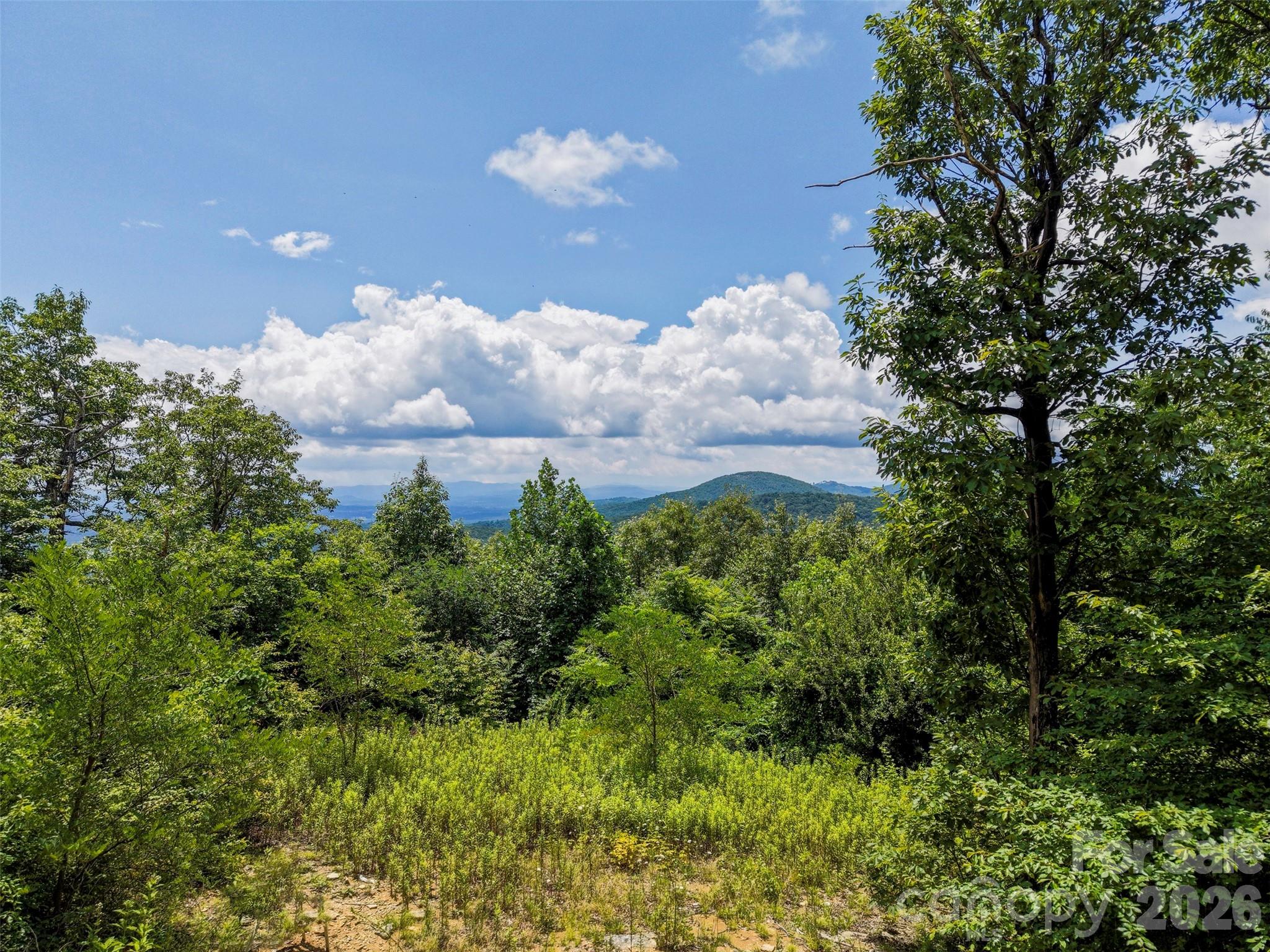 705 Pine Ridge Road Unit 59, Hendersonville, NC, 28792