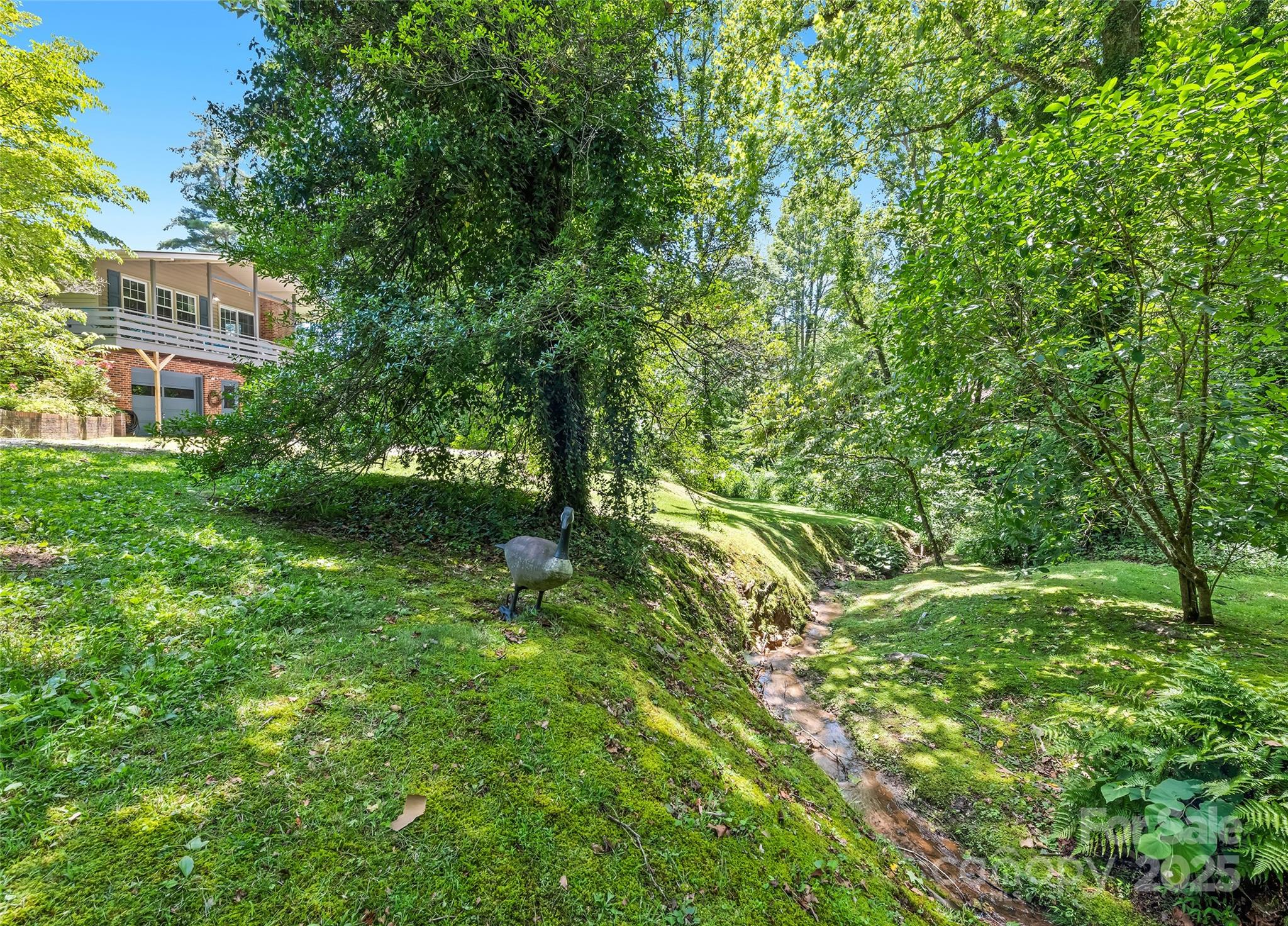 975 Buchanan Loop