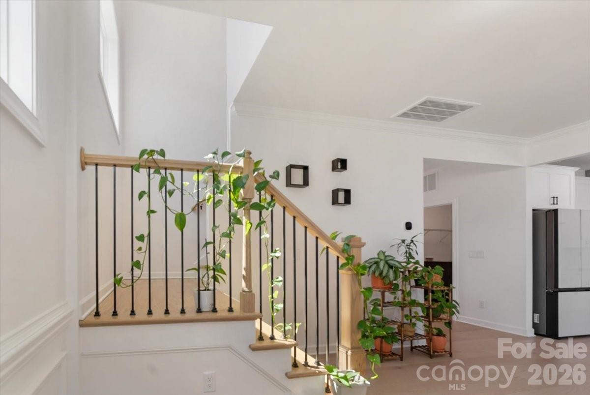 Camellia Gardens - Residential