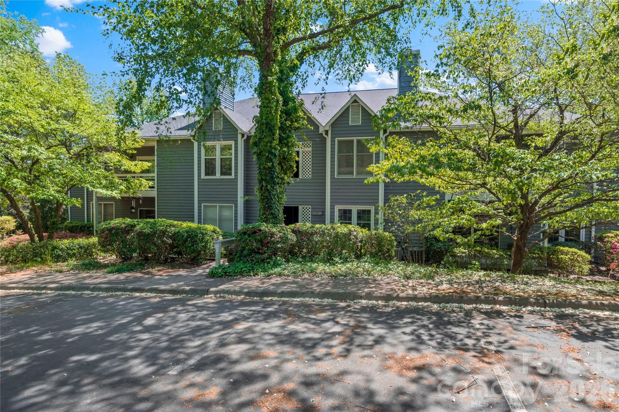 The Meadows - Residential