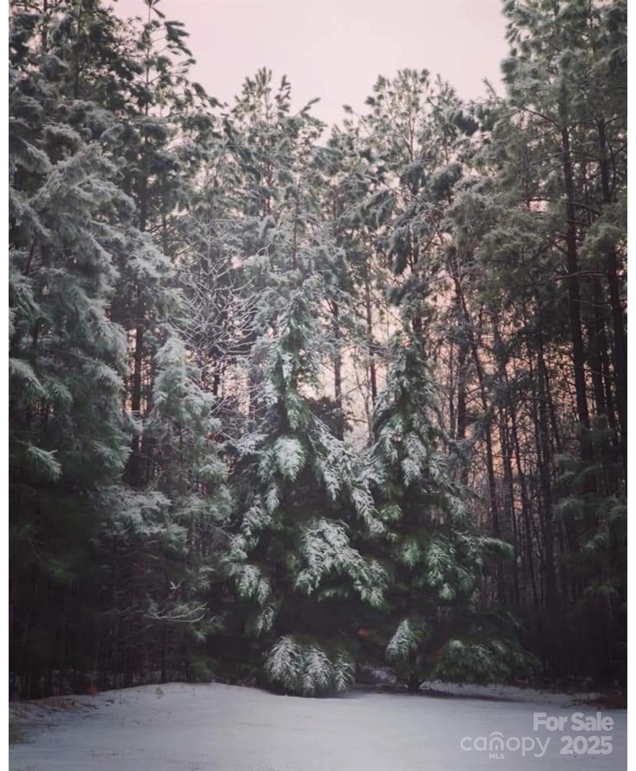 Richards Landing - Residential