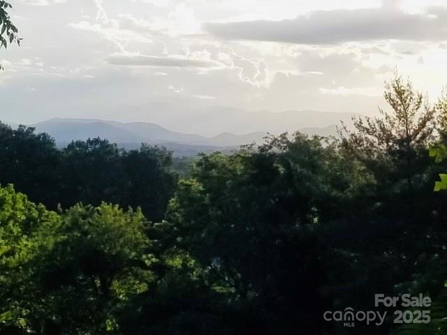 427 Weaverville Road