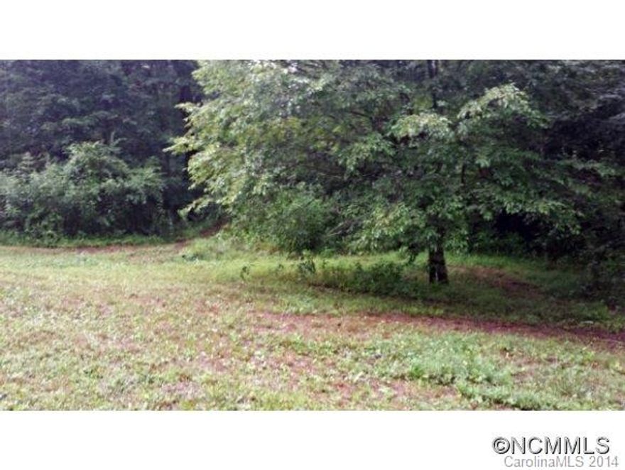 Looking for a large lot with gentle slope, easy access and ready to build? This is it!!! House seat & 3 bedroom septic already in place and a two story outbuilding for workshop & storage. Ready to go!!!! This is a great value plus minutes to Route 19 & Downtown Mars Hill.