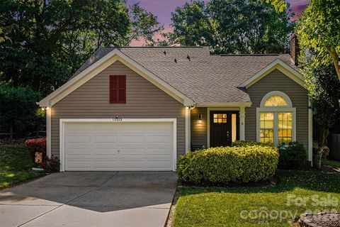 Photo of 12213 Woodside Falls Road, Pineville, NC 28134 (MLS # 4372444)