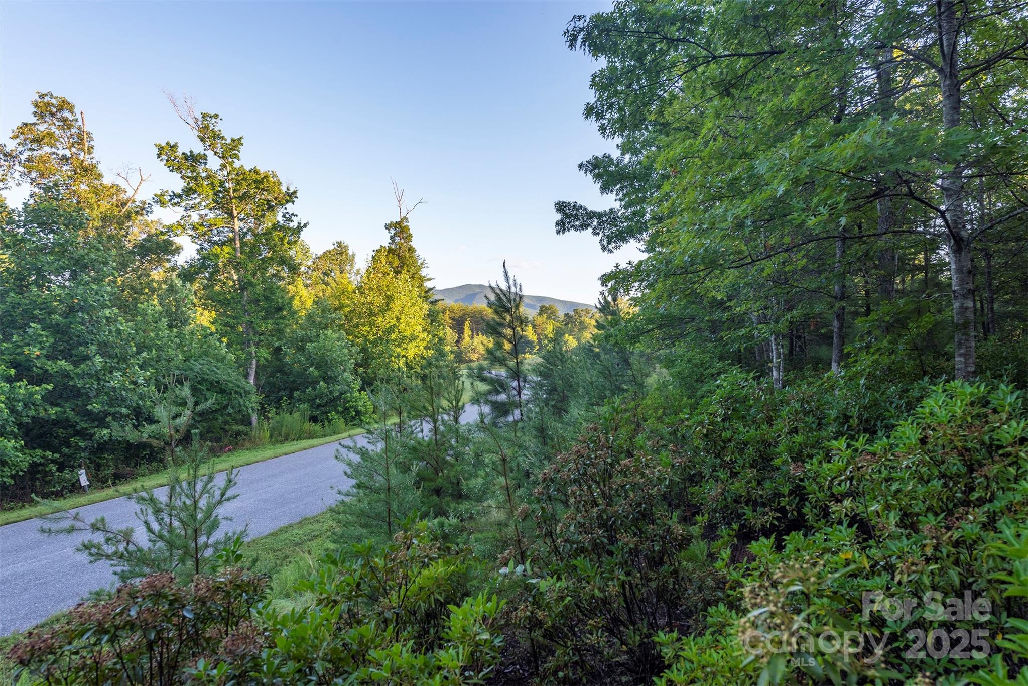 TBD Ridge Point Road 3