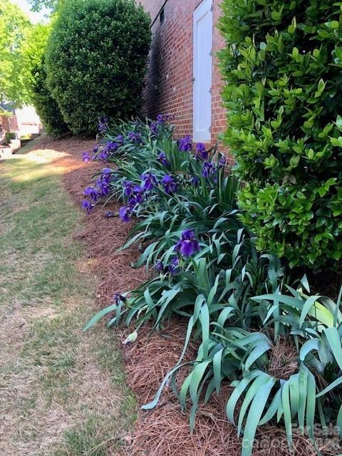 The Palisades - Residential