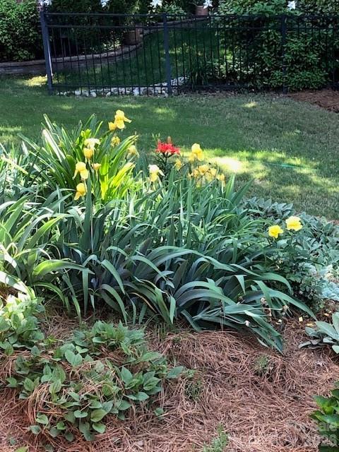 The Palisades - Residential