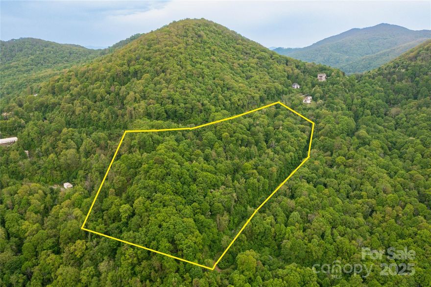 Escape to nature on this beautiful 15-acre wooded property near the entrance of the serene Mount Soma community in Clyde, NC. Offering a north-facing slope with stunning long-range mountain views, this land is the perfect canvas to build your dream home. Enjoy the peace and privacy of your own forested retreat while being part of a unique, holistic community known for its tranquility and spiritual focus. Mount Soma features a Vedic Shiva temple, a welcoming visitors center, and peaceful walking trails atop the mountain. Embrace a lifestyle rooted in nature, beauty, and balance.