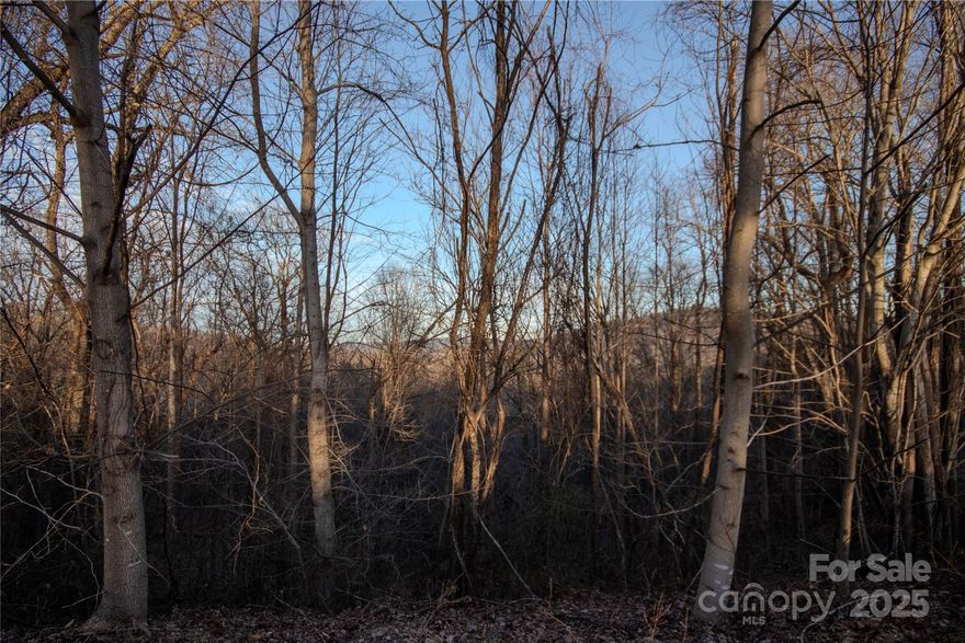 10+ ACRES MINUTES FROM BLOWING ROCK! This property, nestled in the Western NC mountains is only 10 minutes from Blowing Rock and less than 15 minutes from the Blue Ridge Parkway. Located just off of US Hwy 321 and within the gated community of Timber Rock, this lot provides a 10.14 Acre homesite that has septic docs from Land Resource Management for a 3 bedroom home. Once cleared, this lot would provide mountain views with  elevation ranges from 1900 to 2275 -  Enjoy the nice Summer temps without the Blowing Rock price!! Amenities include a gorgeous outdoor pavilion with rock fireplace, kitchen, grilling area, picnic area by the Yadkin River, restrooms and plenty of space to host the perfect outdoor event! This is your opportunity to own and build your beautiful mountain home or weekend getaway!