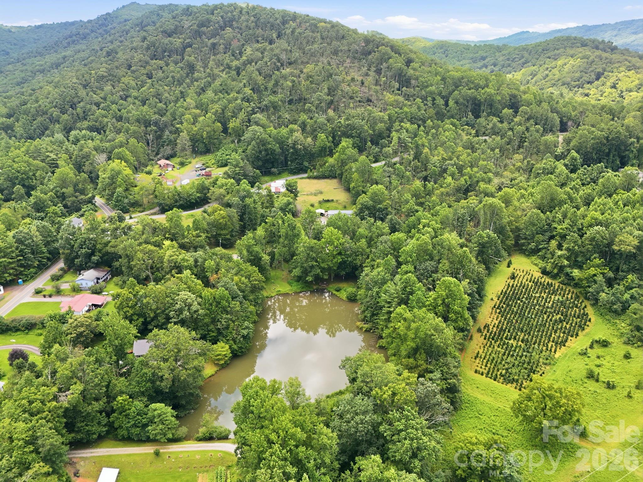 428 Hoot Owl Road