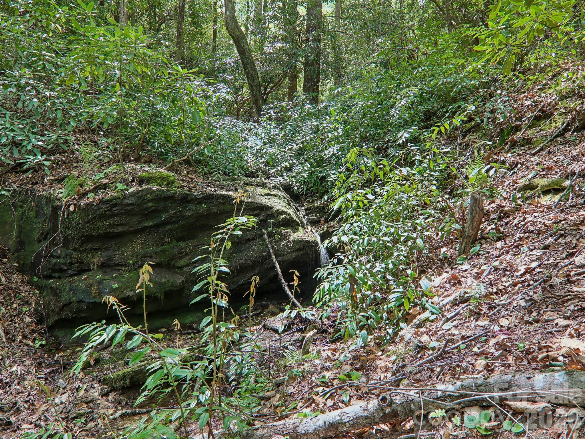 Pisgah Forest Farms - Residential