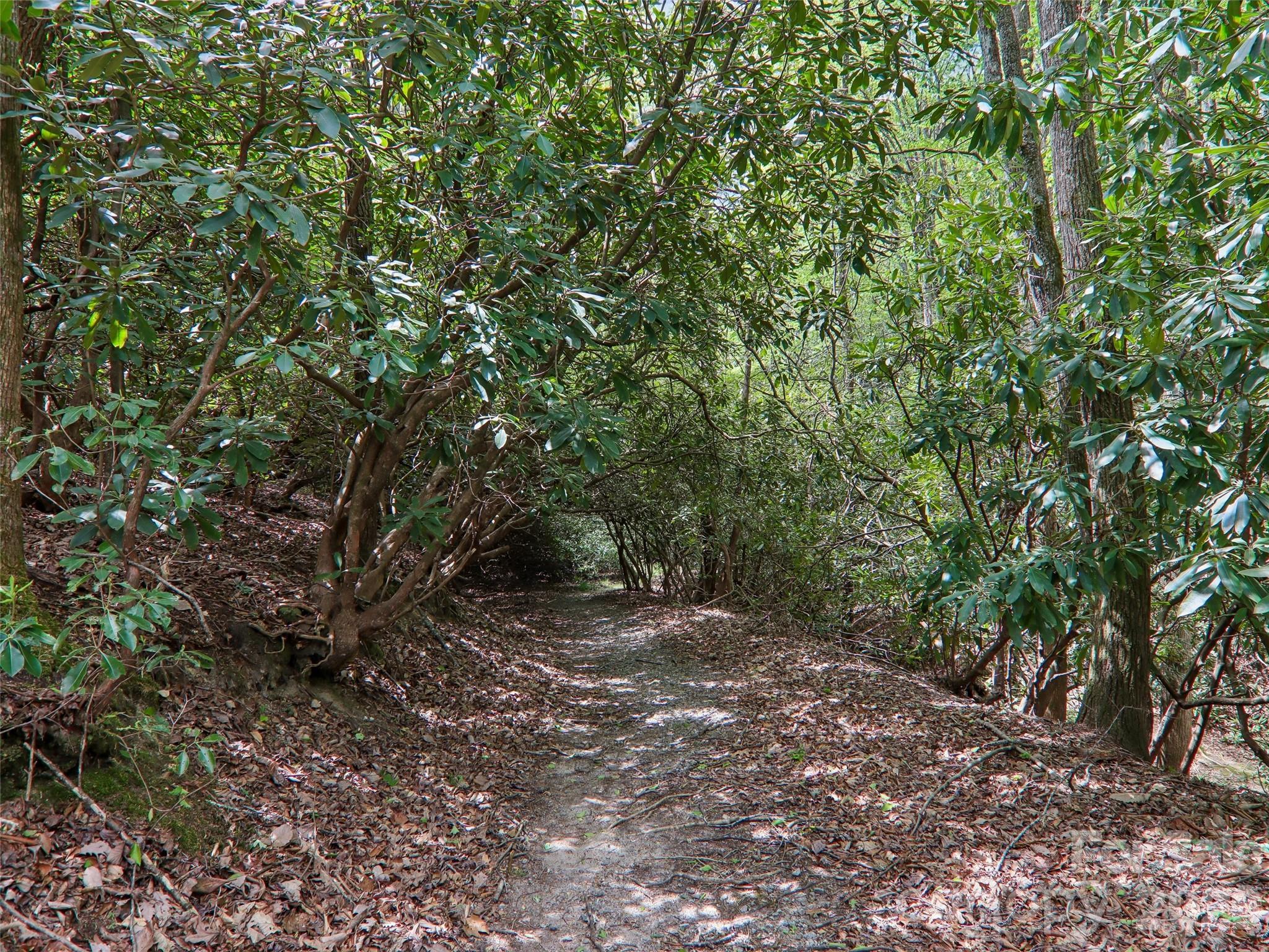 Pisgah Forest Farms - Residential