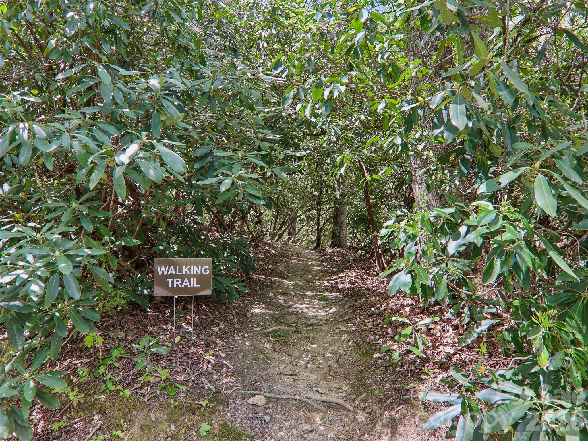 Pisgah Forest Farms - Residential