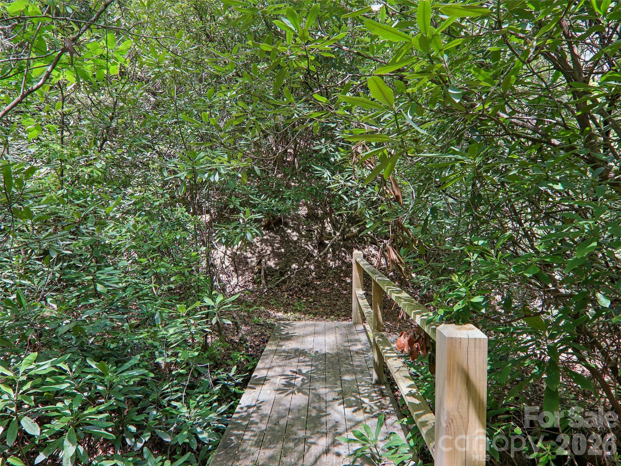 Pisgah Forest Farms - Residential