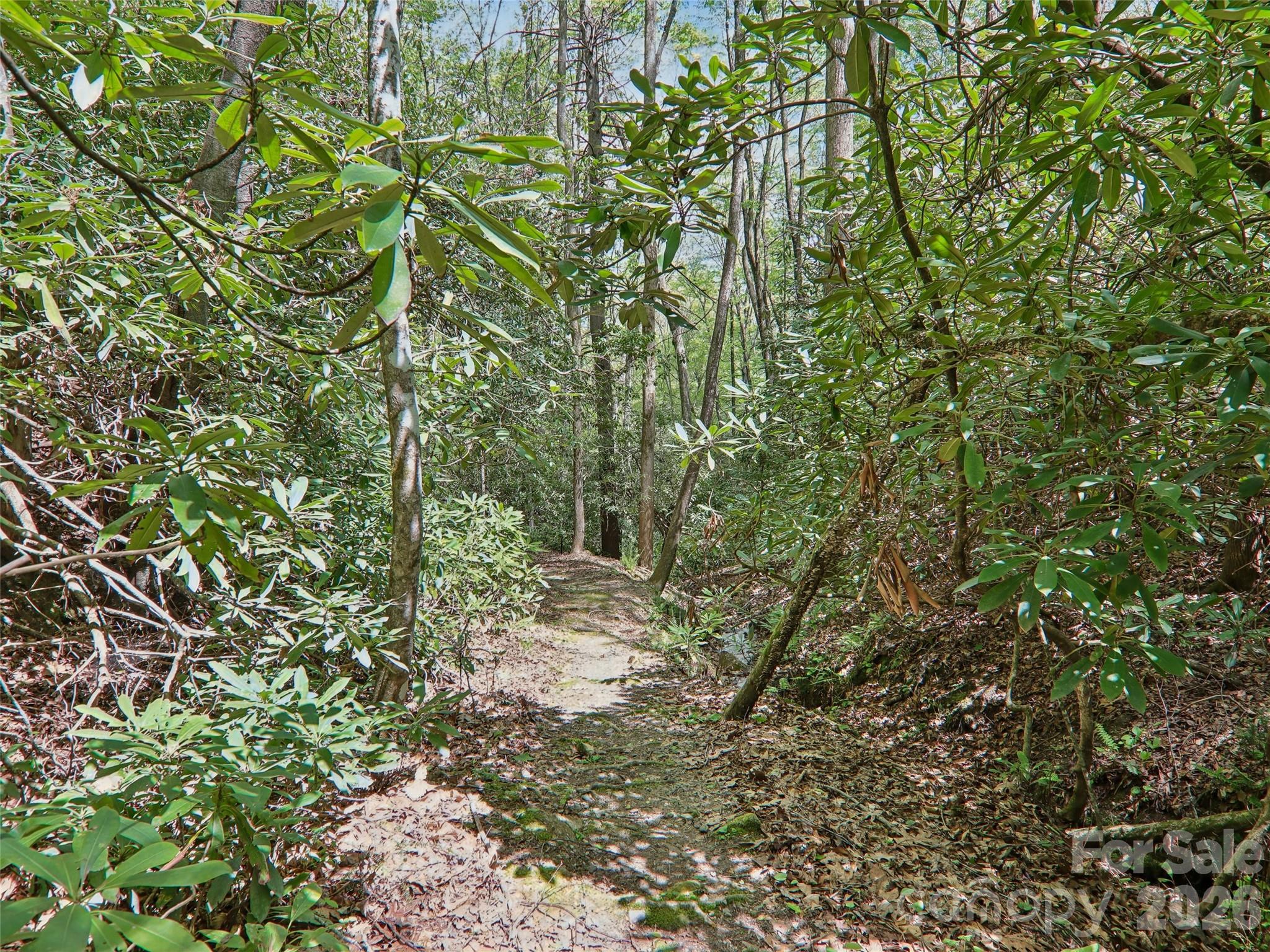 Pisgah Forest Farms - Residential