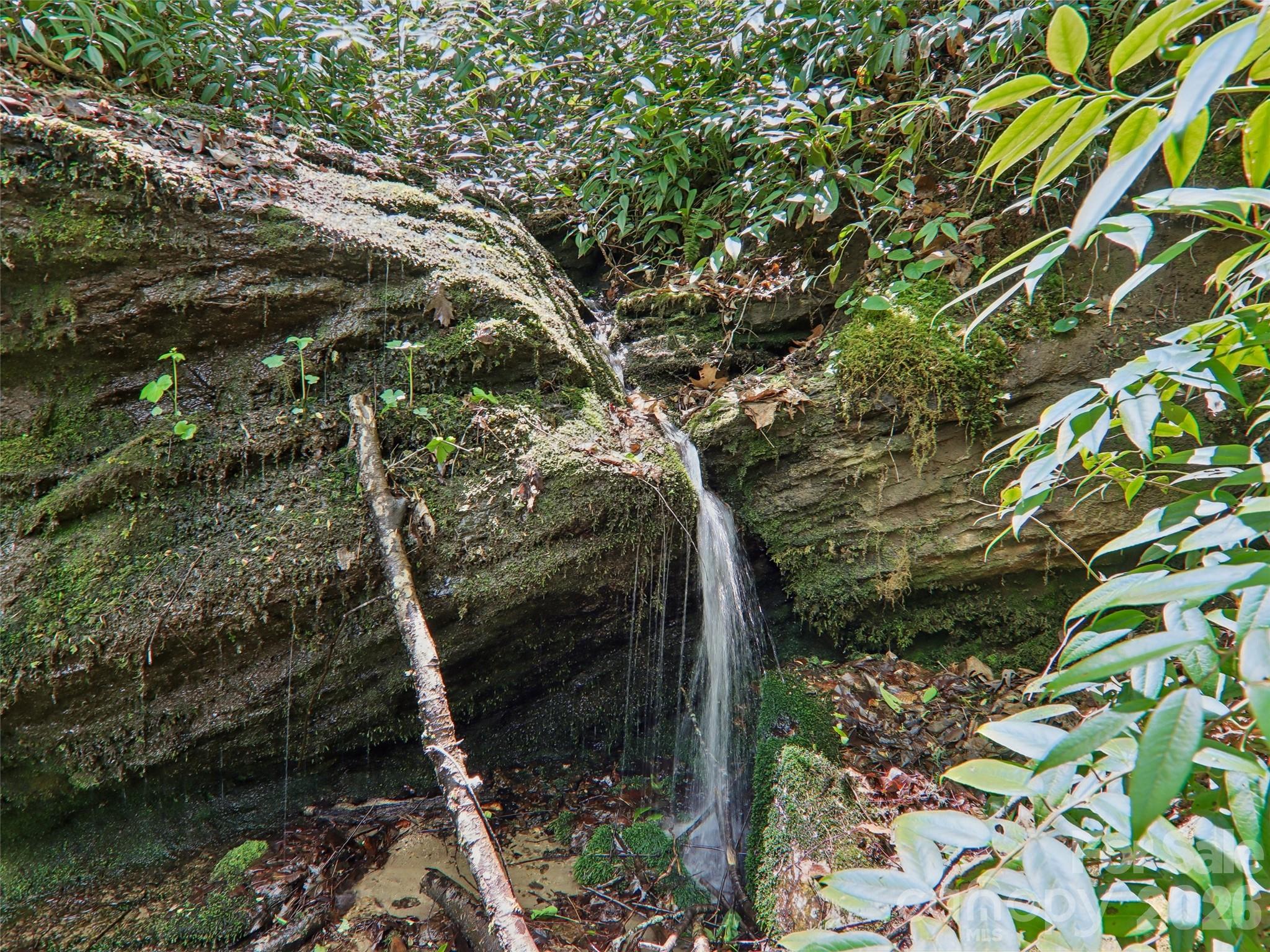 Pisgah Forest Farms - Residential