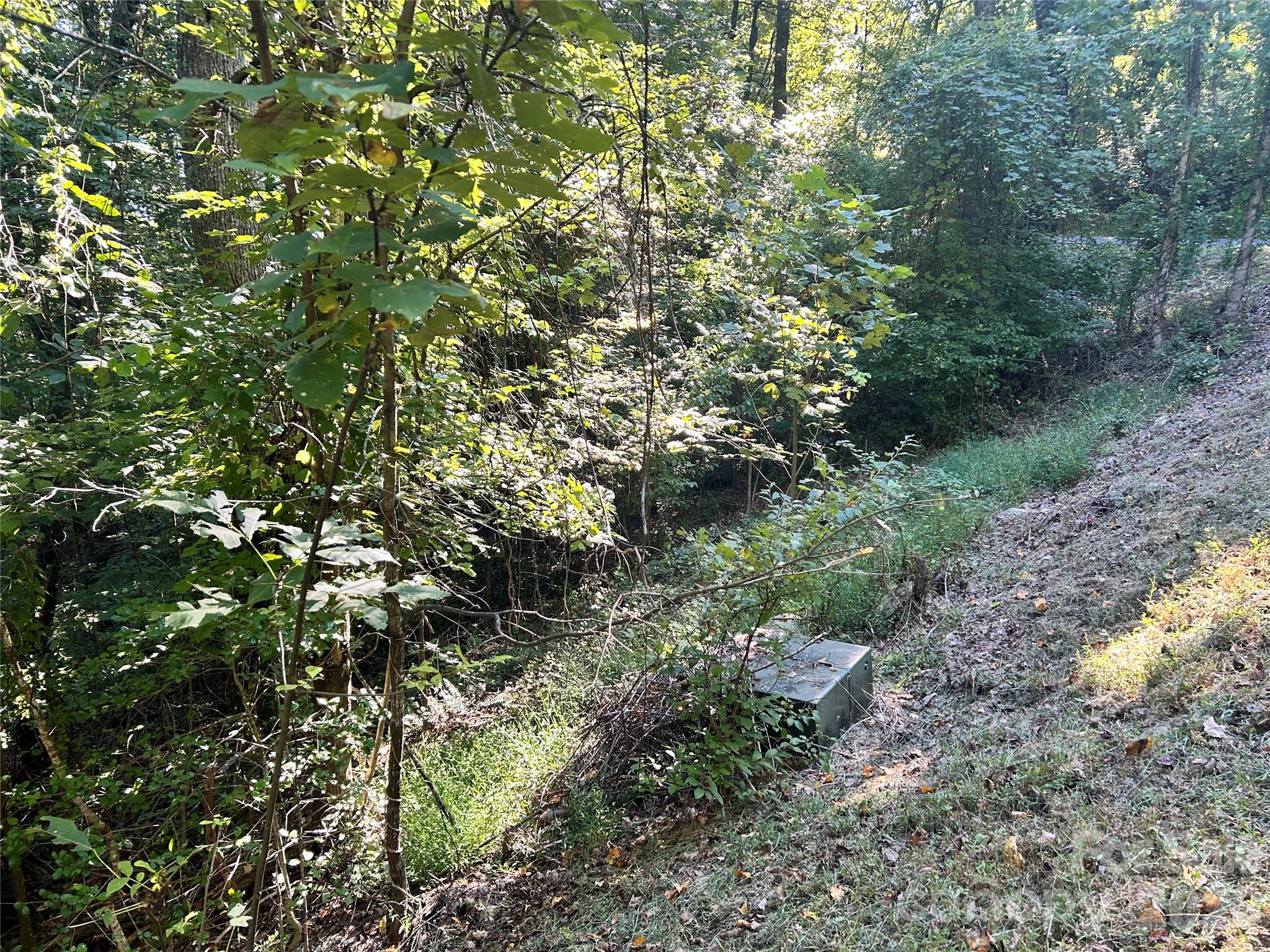 TBD Mt Hebron Road 36