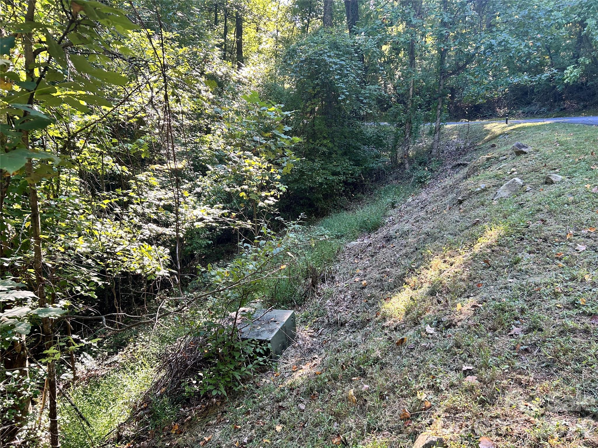 TBD Mt Hebron Road 36