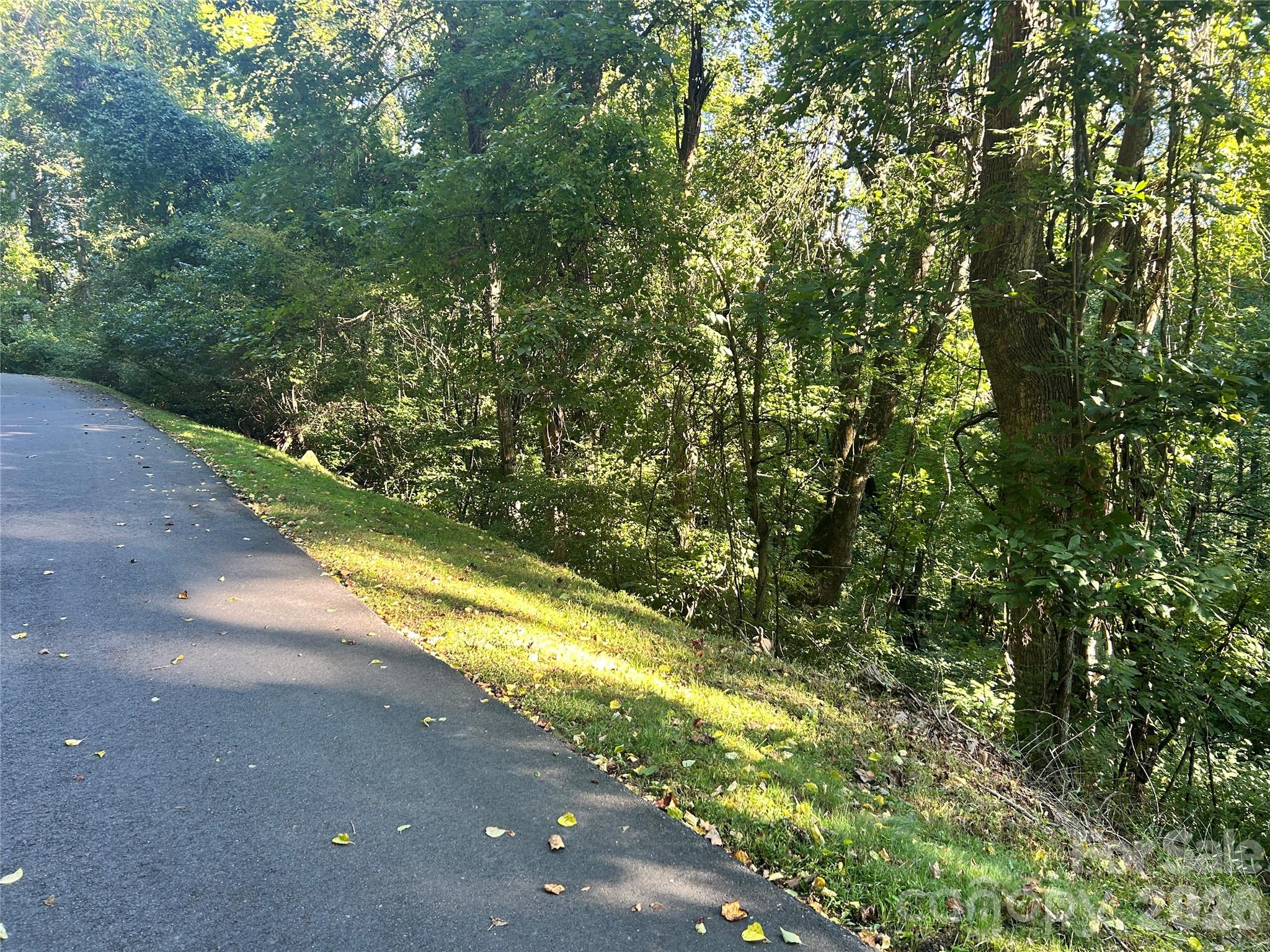TBD Mt Hebron Road 36