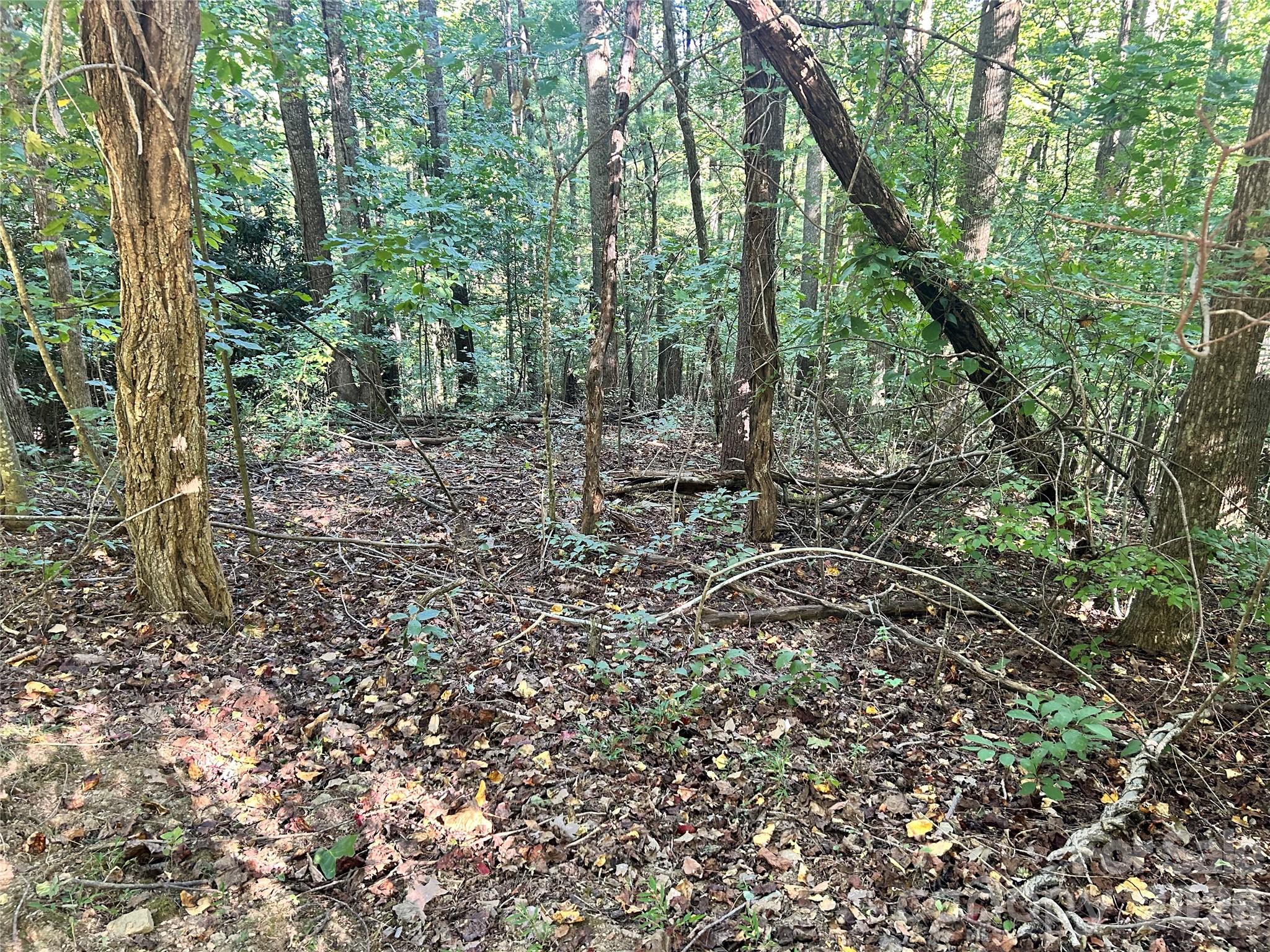 TBD Mt Hebron Road 36