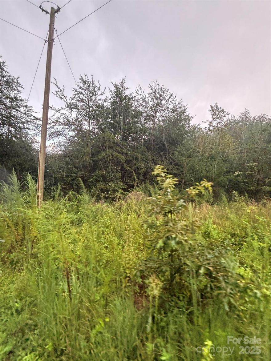 Build your dream home in Laurel Ridge Subdivision!
Discover 10 beautiful lots for sale, available in a variety of sizes-perfect for building the home that fits your style.