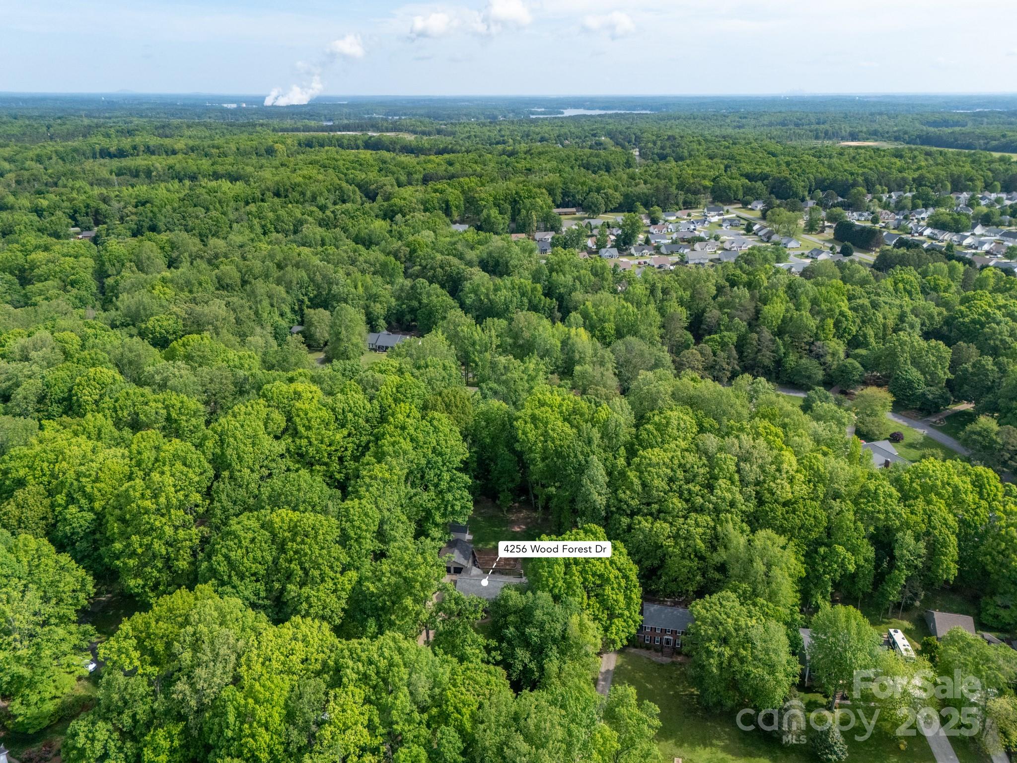 Wood Forest - Residential