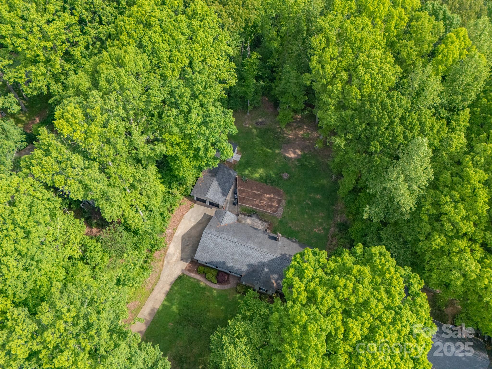 Wood Forest - Residential
