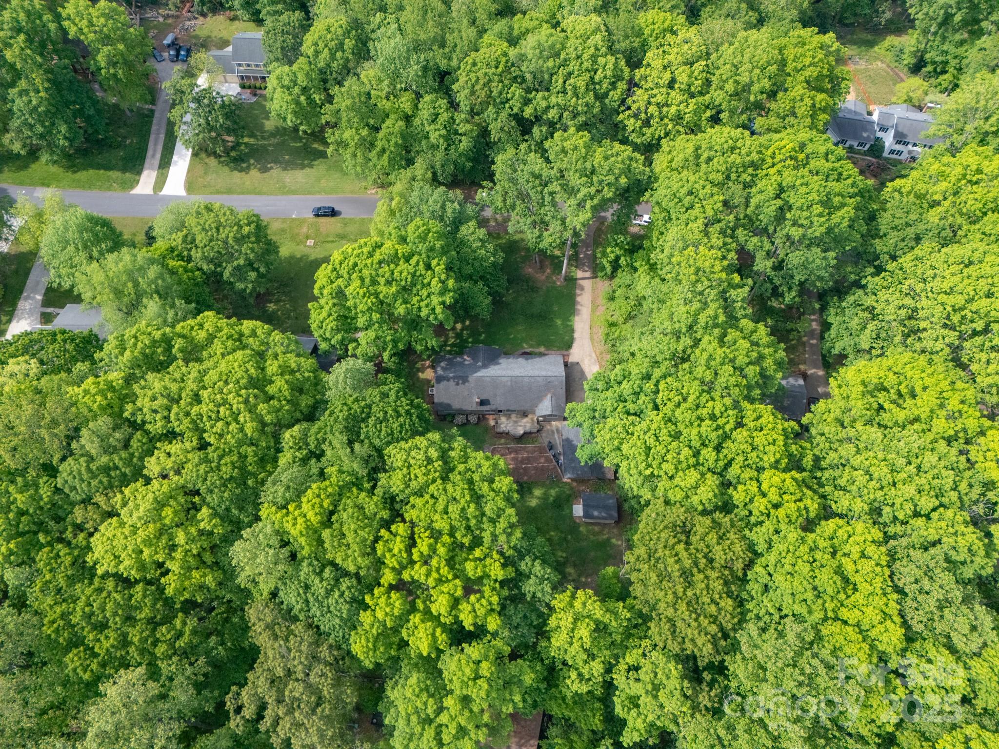 Wood Forest - Residential