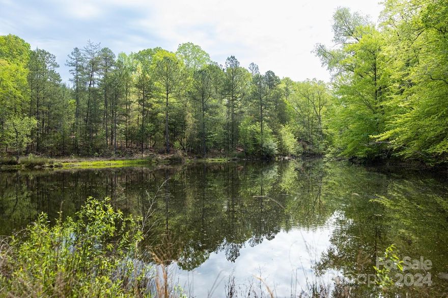 This property is 45+/-acres with good paved frontage on Pilgrim Rd about 9 miles from Chester SC.  Multiple homesites on the frontage make this ideal for your family homestead to grow.  A nice driveway entrance is a short distance to a hunt club shack currently with well water.  Huge Oaks start at the shack and hardwoods dominate the forest.  A nice jeep trail meanders to a very nice pond.  The pond is about 1 Acre and has good depth.  An easement road from Walton's Way provides additional 4X4 access to the pond dam.  This private retreat is only 10 minutes from Chester, 30 min to Rock Hill SC or about an hour to Charlotte NC.
