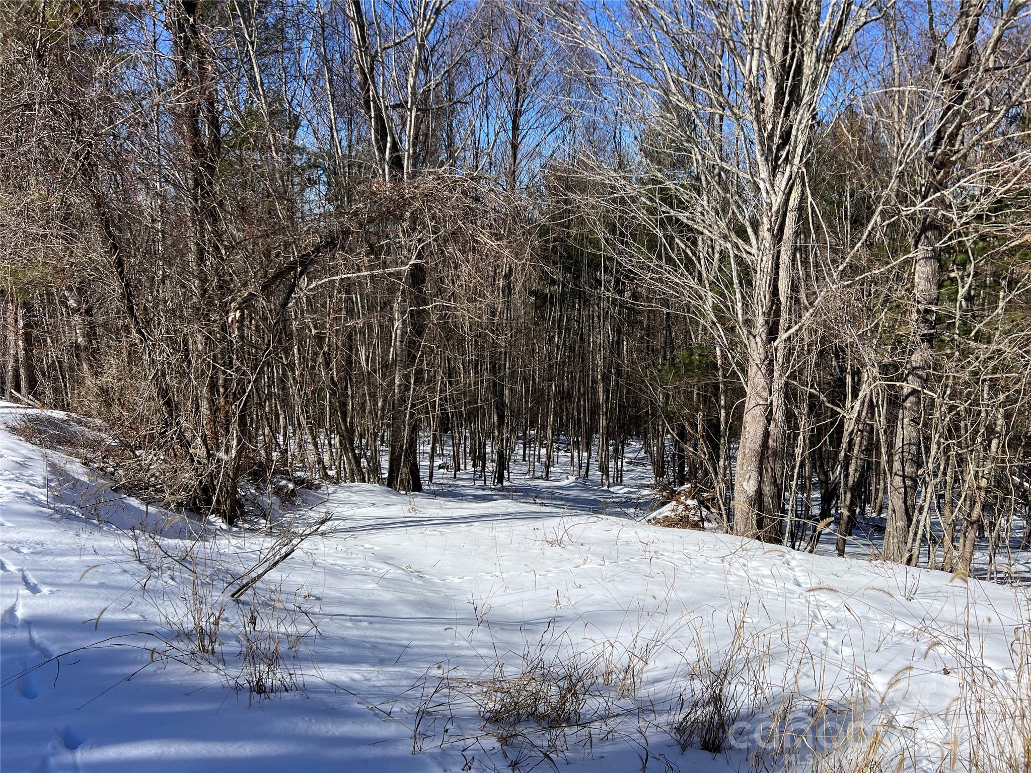 TBD (Lots 13 & 14) Timberwilde Drive