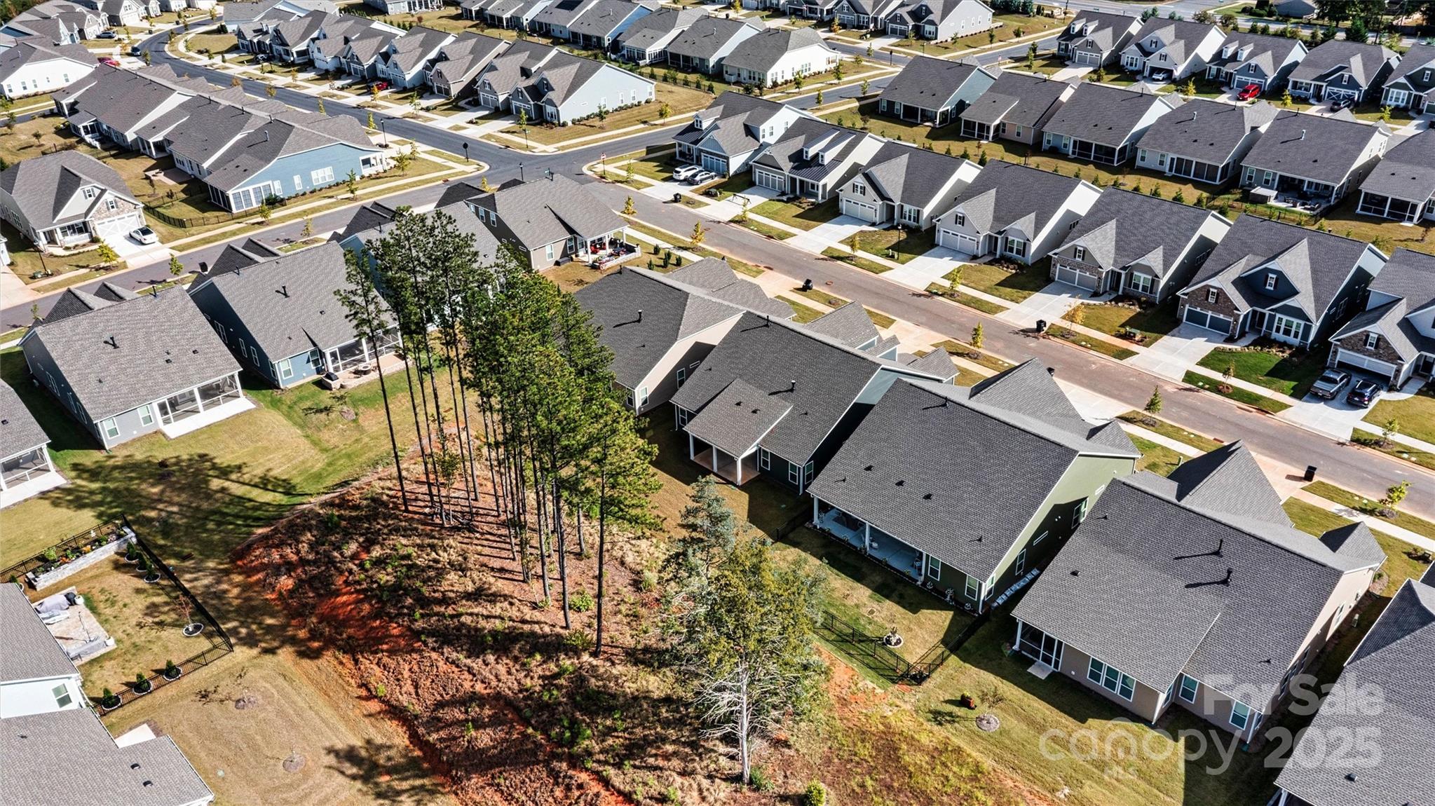 Cresswind - Residential