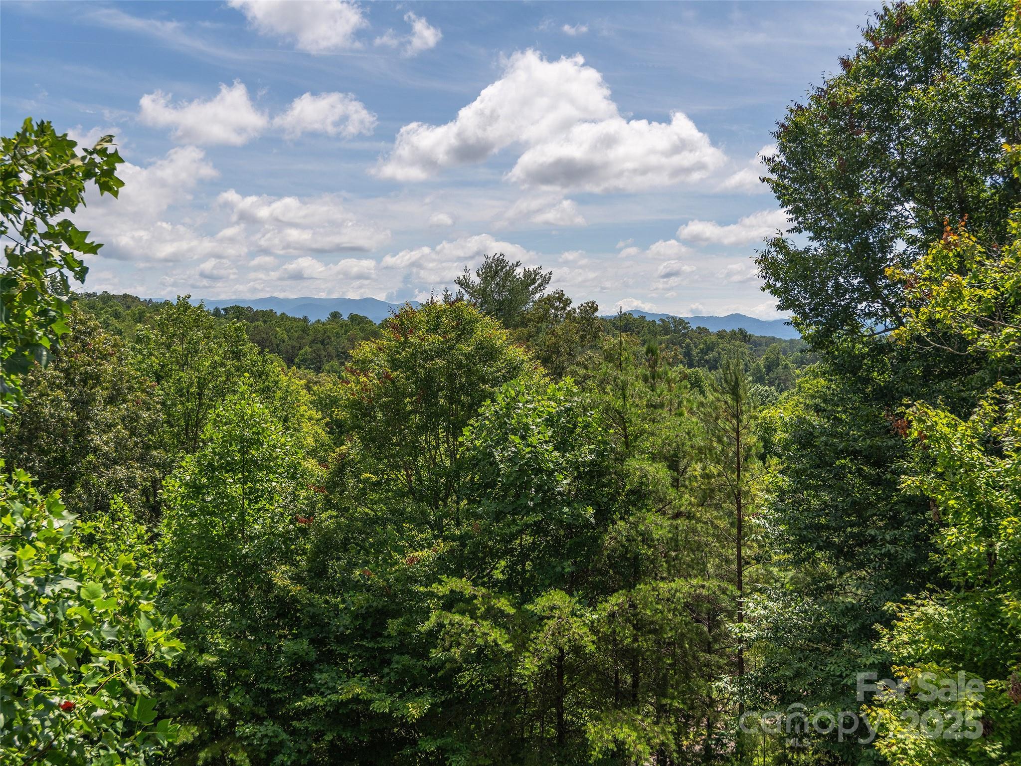 422 Day Lily Drive