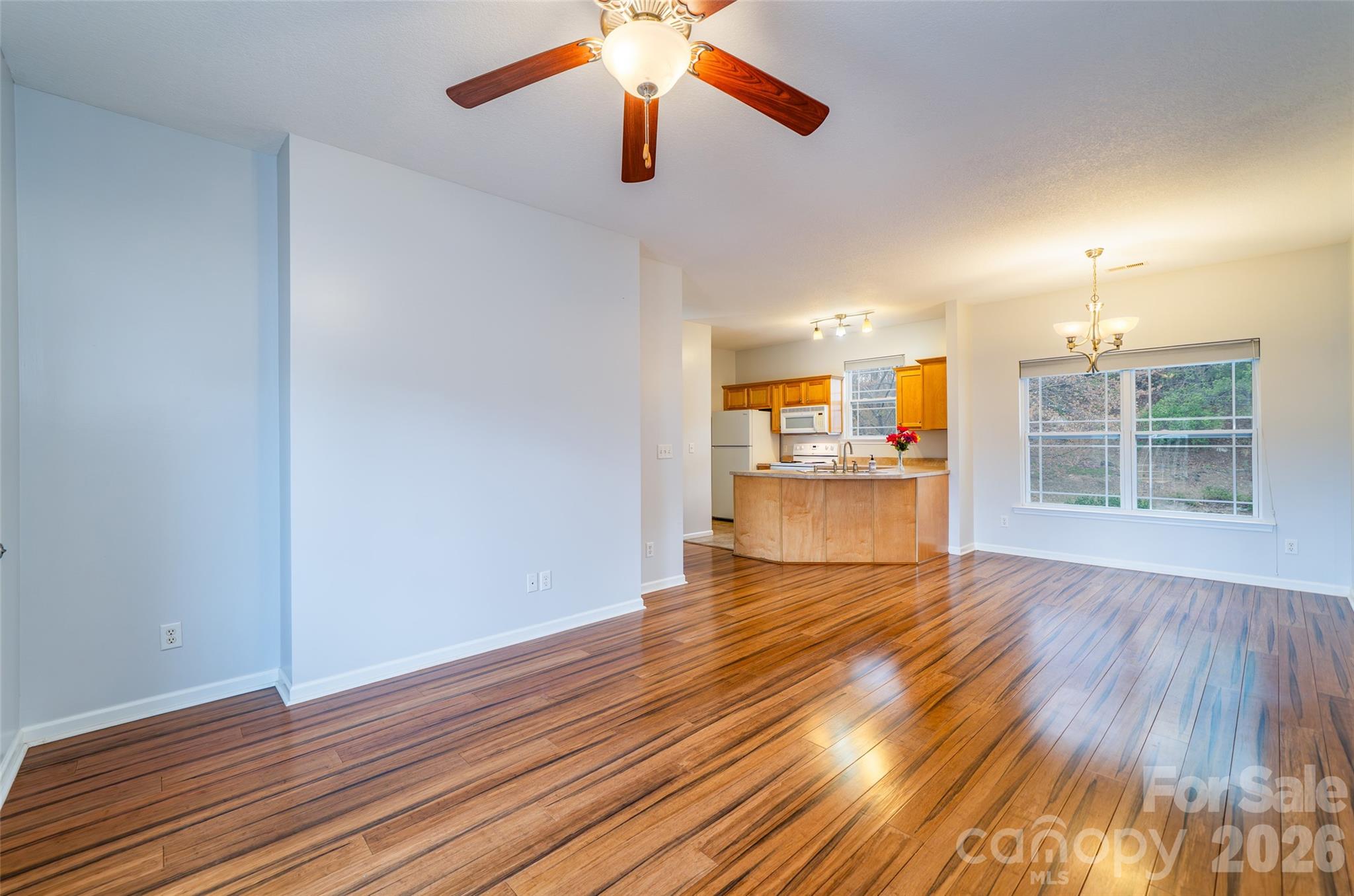 10 Northbrook Place D