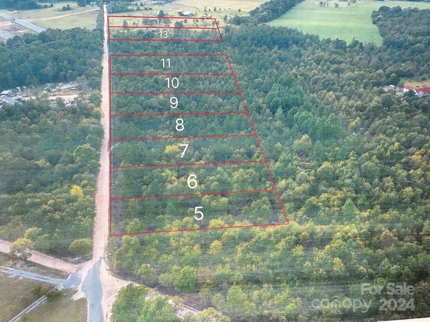 LOOKING FOR A PIECE OF PROPERTY TO BUILD OR PUT A MOBILE ON??????   Look no further!!  Really nice, level, 2 acre lots (needs clearing somewhat), already has a SOIL TEST on it, & surveyed. Great for a 'mini-farm' w/ chickens (eggs are outrageous now), a goat or 2, a few Guinea's, & MAYBE a horse!  WOW....COUNTRY LIFE IS GREAT!  At this price, buy several of these lots for a bigger farm!  Water tap not available at this time, but HEY...WELL is BETTER & probably safer.  Property is on a dirt road, (a PLUS for horseback riding).  Call me for more info & lets get 'mov'n' on a nice lot (or 2).  NINE (9) LOTS IN ALL TO SELL!