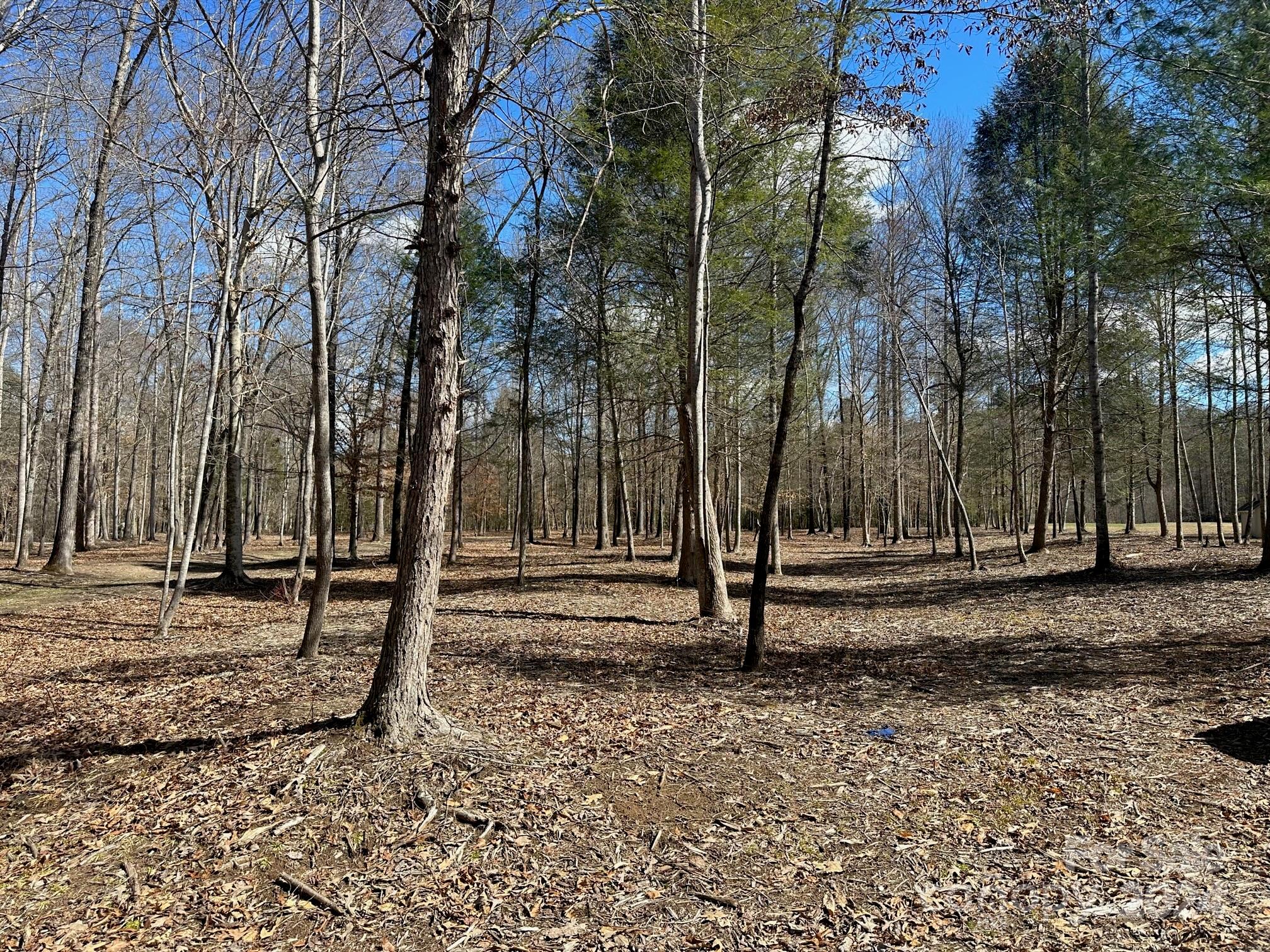 Twelve Mile Post - Residential