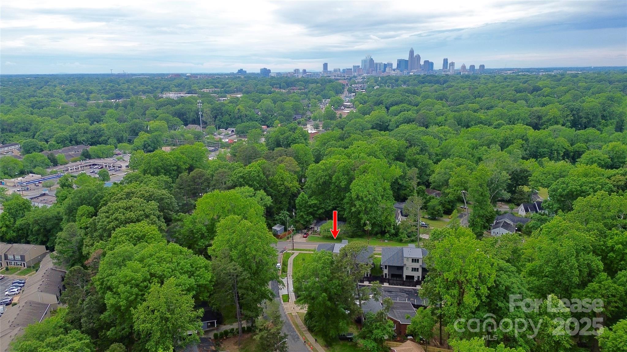 Plaza - Residential Lease