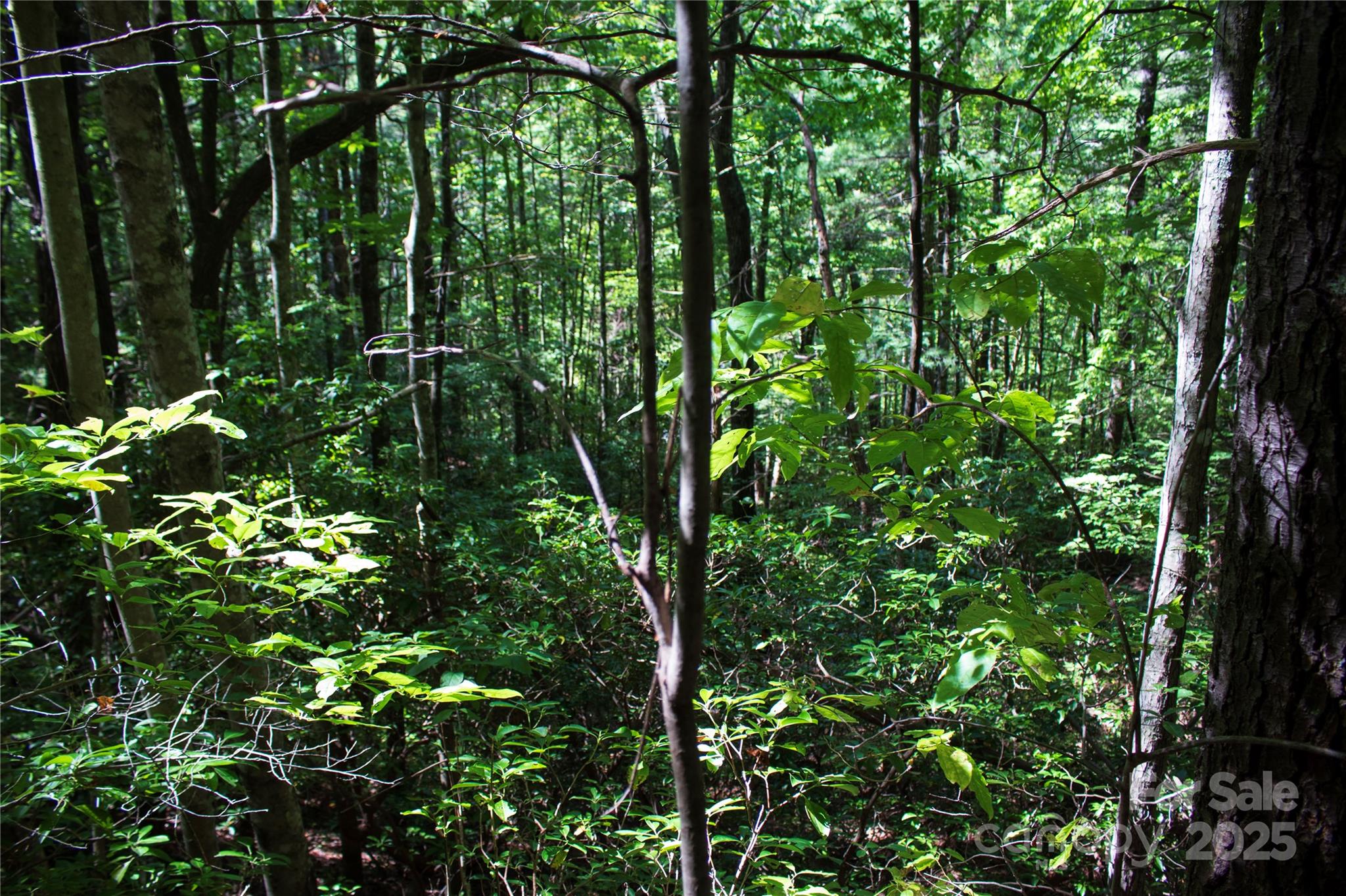 TBD Frozen Creek None 34