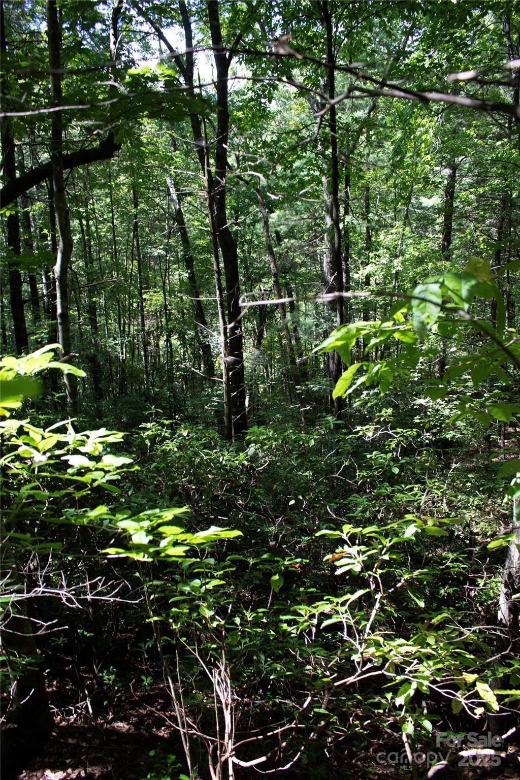 TBD Frozen Creek None 34