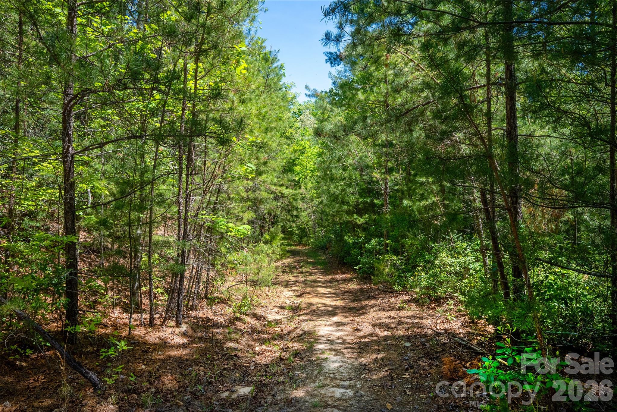 Straus Park - Land