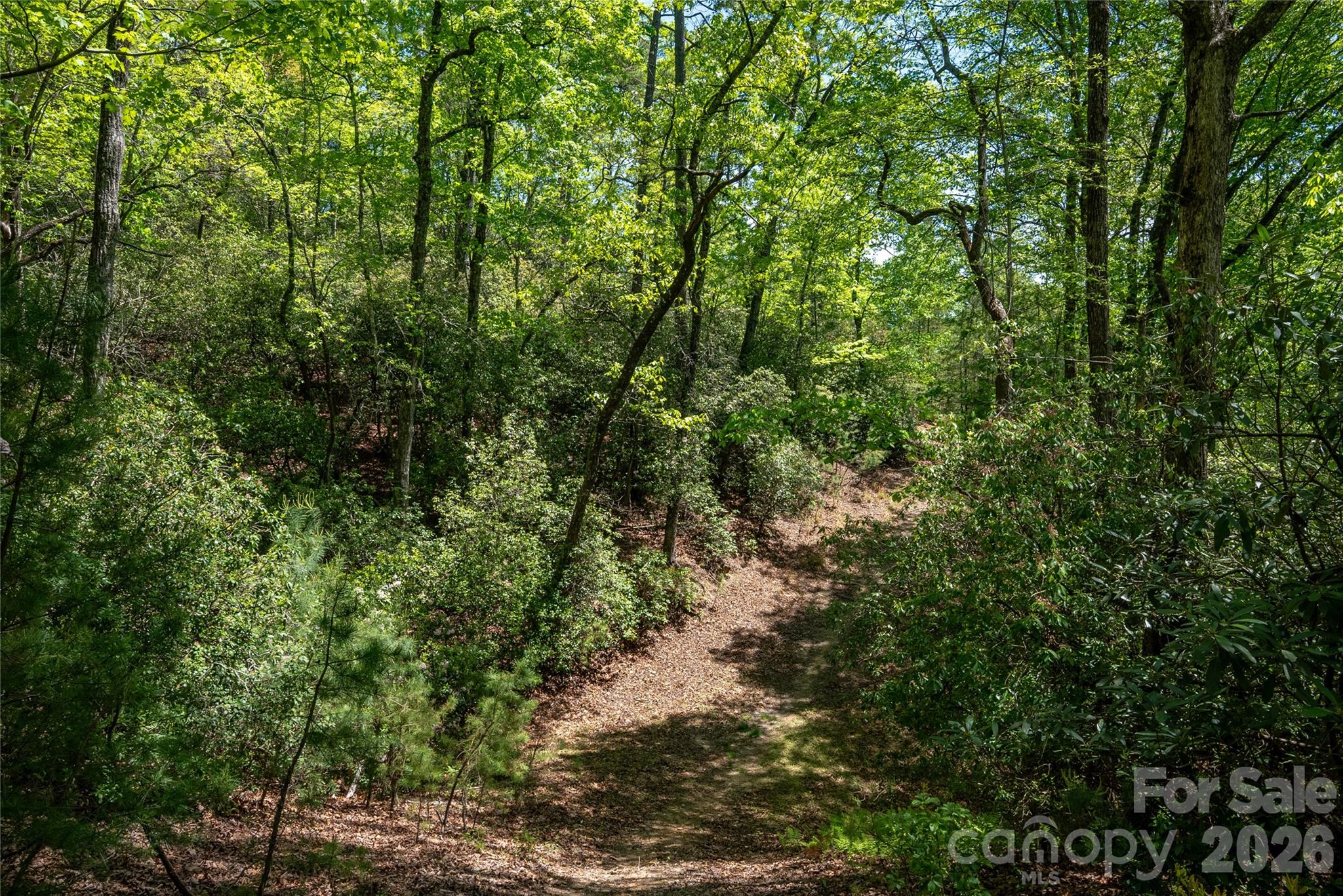 Straus Park - Land