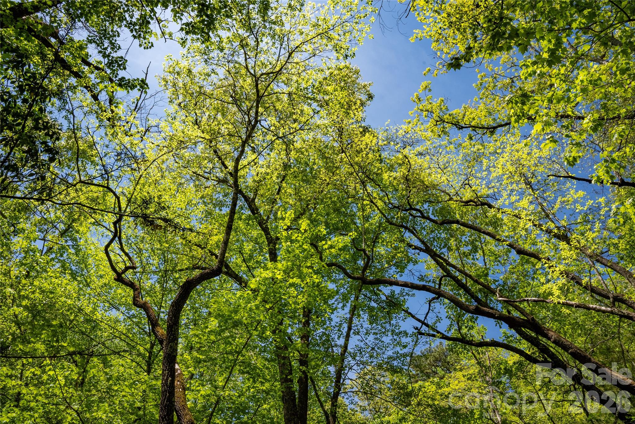 Straus Park - Land