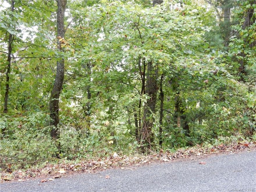 Bear River Lodge has over a mile of common area Class C trout stream and spectacular Adirondack style clubhouse. "Sold as-is where is. Cash only.