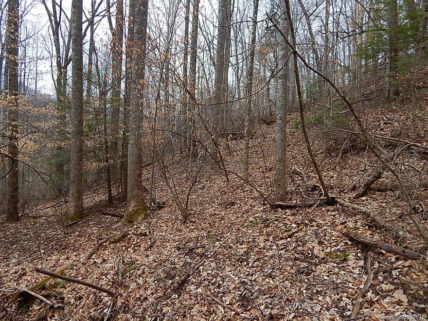 725 Square foot house that is currently tenant occupied.  Seller makes no representation on house.  56x60 barn. Seller makes no representation on barn.  940 feet of road frontage.  Gentle slope to steep. Southern exposure. 95% wooded. Branches and streams cross varied portions.