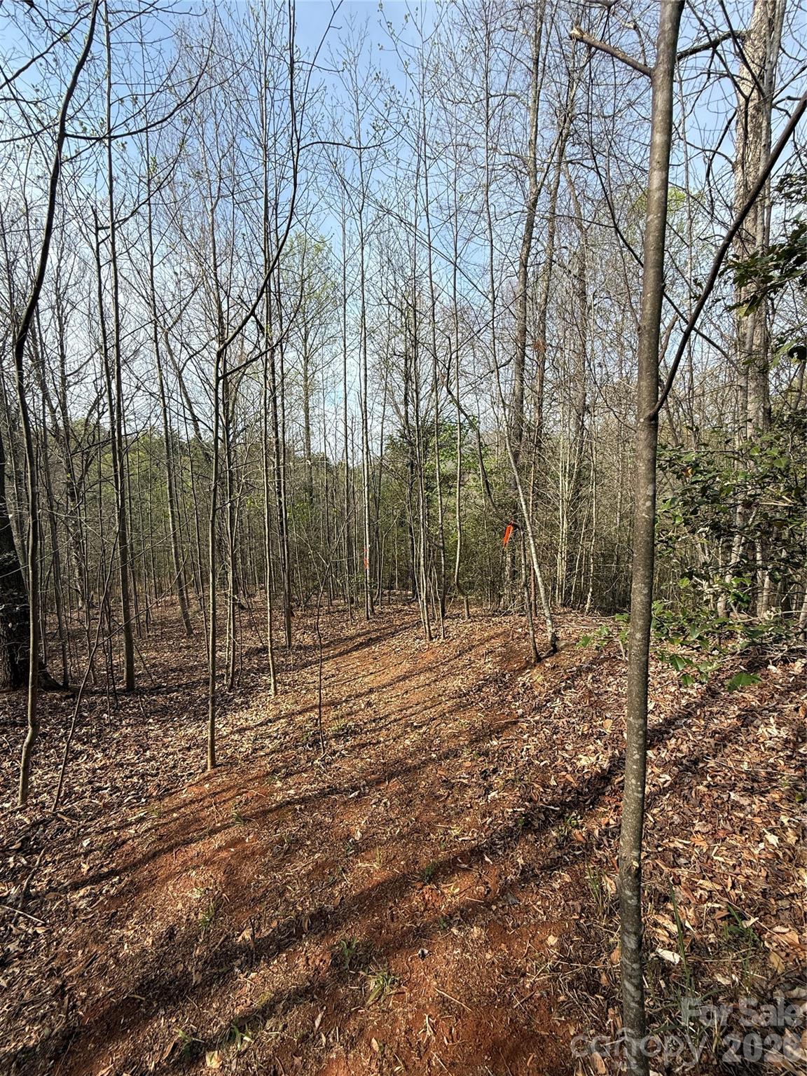 MASTERPIECE MEADOWS - Land